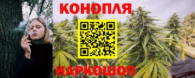 дурь Камышлов