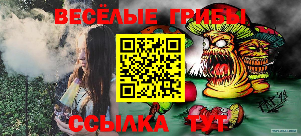 Галлюциногенные грибы ЛСД  купить закладку  Псилоцибиновые грибы Psilocybe  Куйбышев  Вход с VPN 